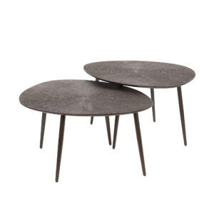 13245 Brown Ray metal